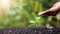 Farmer`s hand planting, watering young plants in green background. Royalty Free Stock Photo