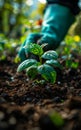 Farmer's hand planting the young tree in the garden as save world concept nature environment and ecology. Royalty Free Stock Photo