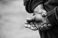 Farmer's Hands of old man who had worked hard