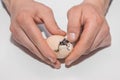 Farmer's hands open a chicken hatching egg with a chick inside on a white background, poultry farming Royalty Free Stock Photo