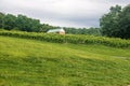 A farmer\'s hillside vineyard in Virginia