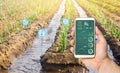 Farmer`s holds a smartphone on a background of a field with a leek plantation. Agricultural startup. Automation and crop quality