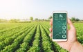 Farmer`s holds a smartphone on a background of a field with a potato plantation. Scientific research. Hi-tech technology,