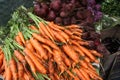 Farmer's Market / Carrots, Beets