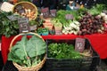 Farmer's Market / Fennel, Okra, Peppers, Onions, Radishes
