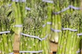 Fresh asparagus Royalty Free Stock Photo
