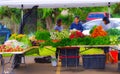 Farmer`s Market in Hawaii Royalty Free Stock Photo