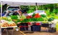 Farmer`s Market in Hawaii