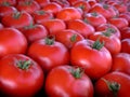 Farmer's Market Tomatoes