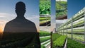 FarmerÃ¢â¬â¢s silhouette with images of vertical farming installations Royalty Free Stock Photo