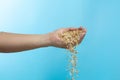 Farmer scatter Paddy white Rice grain fly in harvest field. Yellow Golden Paddy Rice falling farm, farmer scatter rice in farm by Royalty Free Stock Photo