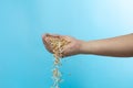 Farmer scatter Paddy white Rice grain fly in harvest field. Yellow Golden Paddy Rice falling farm, farmer scatter rice in farm by