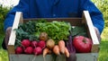 Farmer selling his organic produce on a sunny day. Farmer giving box of veg to customer on a sunny day. Man buying vegetables at f Royalty Free Stock Photo