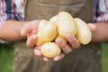 Farmer selling organic veg at market Royalty Free Stock Photo