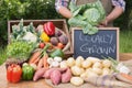 Farmer selling organic veg at market Royalty Free Stock Photo