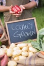 Farmer selling organic veg at market Royalty Free Stock Photo