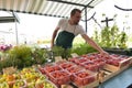 Farmer sells fruit and vegetables from his own cultivation fresh from the field and from the greenhouse