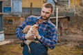 Farmer serious european caucasian rural portrait in countryside with beard, shirt and overalls looks at chicken with white neck in