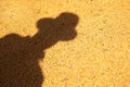 Farmer shadow cast in lot of soy. Royalty Free Stock Photo