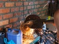 Farmer sharpens a shovel on electric grindstone