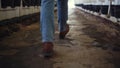 Farmer shoes walking cowshed facility closeup. Agricultural worker checking barn