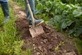 Farmer with shovel digging garden bed or farm