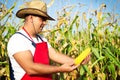 Farmer showing corn maize ear at field Royalty Free Stock Photo