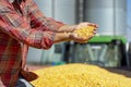 Farmer Showing Freshly Harvested Corn Maize Grains Against Grain Silo