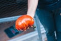 Farmer shows in his hand a giant red ripe juicy tomato