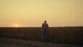 Farmer silhouette check grain quality at sunset country field. Thoughtful man