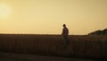 Farmer silhouette examine crop at autumn golden sunset. Rural landscape view.