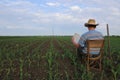 Farmer sits on a chair in a corn field.