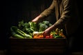 Farmer sorting vegetables into a large crates, concept for selling vegetables, harvesting