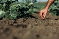 Farmer sowing seed Royalty Free Stock Photo