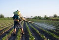 Farmer with a sprayer spray plantation plants. Protection of cultivated plants from insects and fungal infections. Resistance of