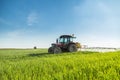 Farmer spraying green wheat field.