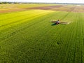 Farmer spraying green wheat field