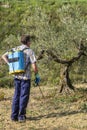 Farmer spraying herbicide in a field of olive trees.