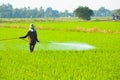 Farmer spraying pesticide Royalty Free Stock Photo