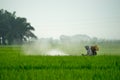 A farmer spraying pesticide at paddy field Royalty Free Stock Photo