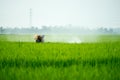 A farmer spraying pesticide at paddy field Royalty Free Stock Photo
