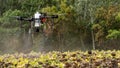 The farmer is spraying the sunflower field remotly with a DJI T20 Agras drone Royalty Free Stock Photo