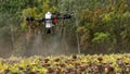 The farmer is spraying the sunflower field remotly with a DJI T20 Agras drone Royalty Free Stock Photo