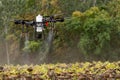 The farmer is spraying the sunflower field remotly with a DJI T20 Agras drone Royalty Free Stock Photo