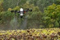 The farmer is spraying the sunflower field remotly with a DJI T20 Agras drone Royalty Free Stock Photo