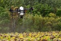 The farmer is spraying the sunflower field remotly with a DJI T20 Agras drone Royalty Free Stock Photo