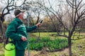 Farmer spraying tree with manual pesticide sprayer against insects in spring garden. Agriculture and gardening