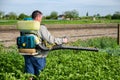 A farmer sprays chemicals on a potato plantation field. Control of use of chemicals growing food. Increased harvest. Protection of