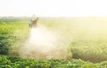 A farmer sprays a cloud of pesticides under the sun`s rays on a potato plantation. Protecting against insect plants and fungal