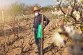 Farmer sprays his vineyard. Royalty Free Stock Photo